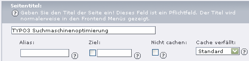 Title Tag in TYPO3 sinnvoll vergeben